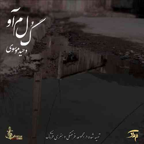 سید وحید موسوی گلمآو (گلم آو)